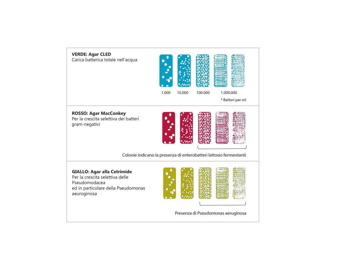 interpretazione-risultati-acqua-safe-batteri