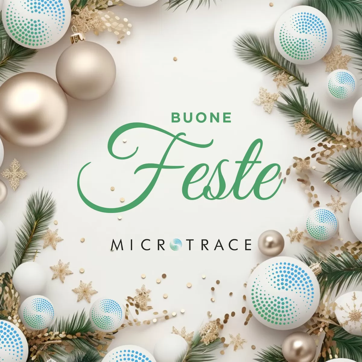 Festività Natalizie Festività Natalizie