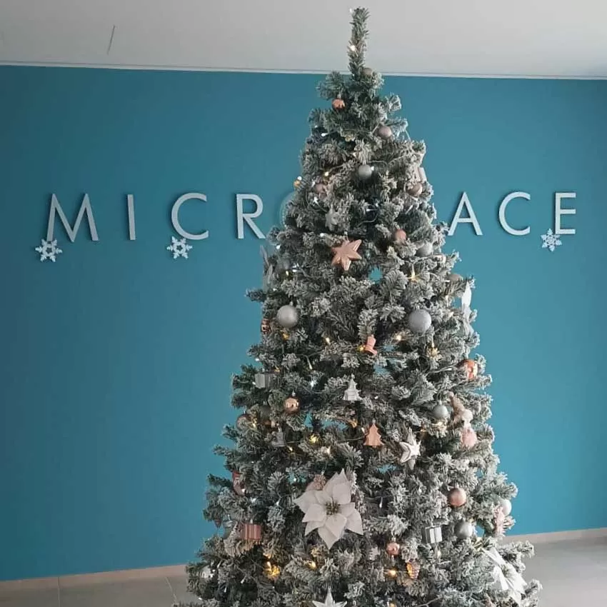 Comunicazione Ferie Natale 2025